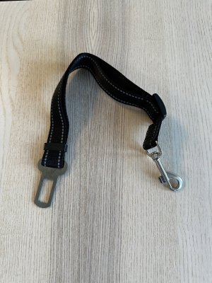hundkoppel, bilbälte, bälte,