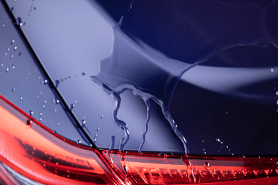 Turtle Ceramic 3 in 1 Detailer