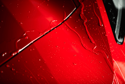 Turtle Ceramic Wet Wax