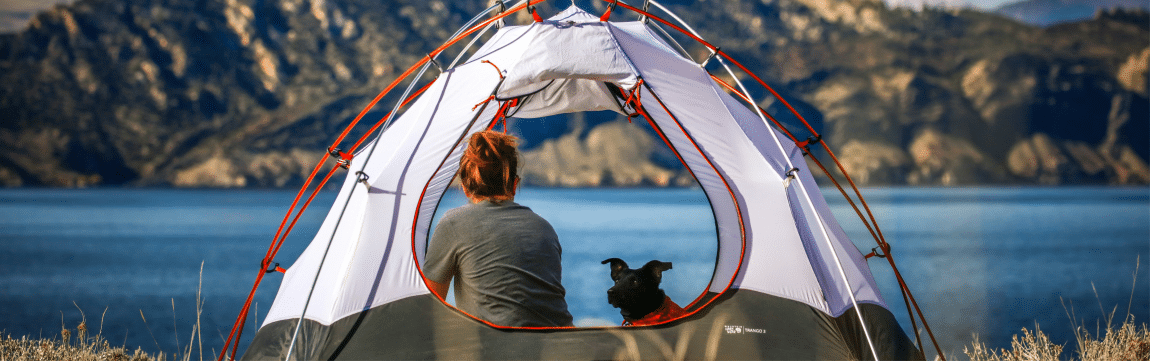 Ta med din fyrbenta vän på camping och tälta med din hund i sommar